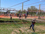 ��������� �������� ��������� ������ � ���� � � �������-������